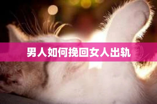 男人如何挽回女人出轨