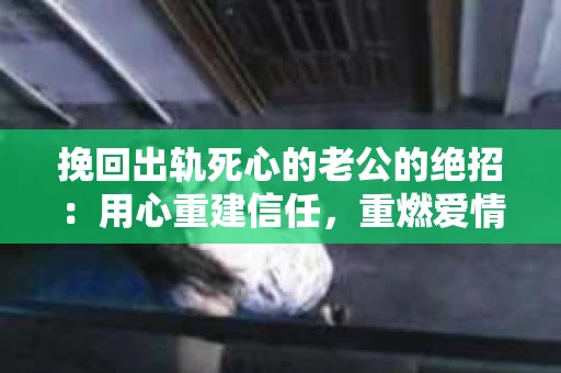 挽回出轨死心的老公的绝招：用心重建信任，重燃爱情火花