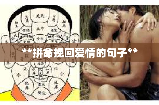 **拼命挽回爱情的句子**