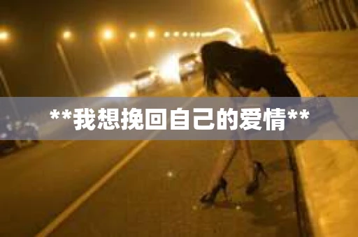 **我想挽回自己的爱情**