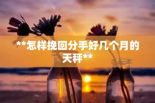 **怎样挽回分手好几个月的天秤**