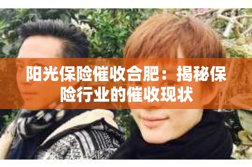 阳光保险催收合肥：揭秘保险行业的催收现状
