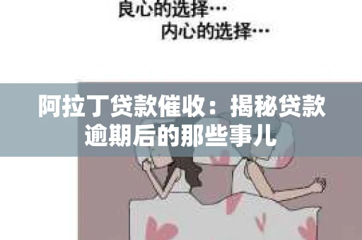 阿拉丁贷款催收：揭秘贷款逾期后的那些事儿