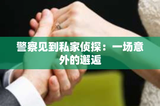 警察见到私家侦探：一场意外的邂逅