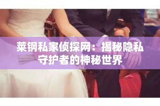莱钢私家侦探网：揭秘隐私守护者的神秘世界