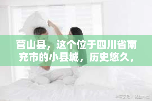 营山县，这个位于四川省南充市的小县城，历史悠久，风景秀丽。但在这个宁静的小县城里，你是否会好奇，有没有私家侦探的存在呢？今天，我就来和大家聊聊这个话题。