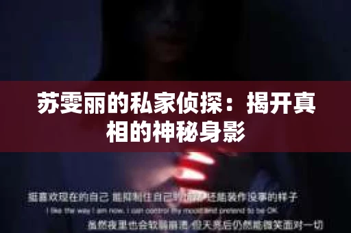 苏雯丽的私家侦探：揭开真相的神秘身影