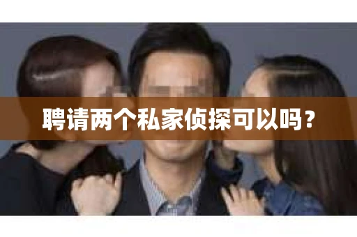 聘请两个私家侦探可以吗？