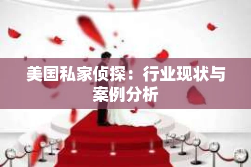 美国私家侦探：行业现状与案例分析