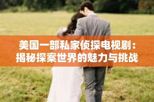 美国一部私家侦探电视剧：揭秘探案世界的魅力与挑战