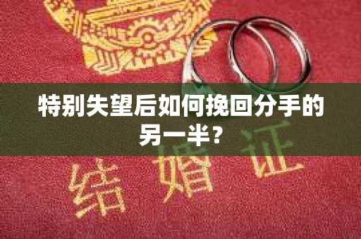 特别失望后如何挽回分手的另一半？