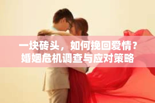 一块砖头，如何挽回爱情？婚姻危机调查与应对策略