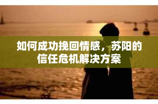 如何成功挽回情感，苏阳的信任危机解决方案