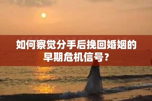 如何察觉分手后挽回婚姻的早期危机信号？