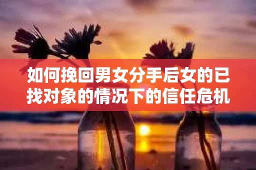 如何挽回男女分手后女的已找对象的情况下的信任危机？